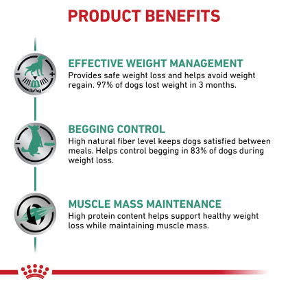 Satiety Support Weight Management Dry Dog Food 