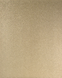 [B8007]Bainbridge Brushed Pale Gold 32