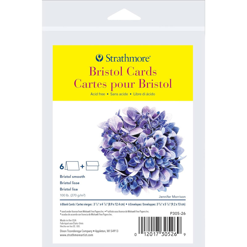 300 Series Bristol Cards & Envelopes, Anniversary Size, 3.5x4.875 inch, 6 Pack