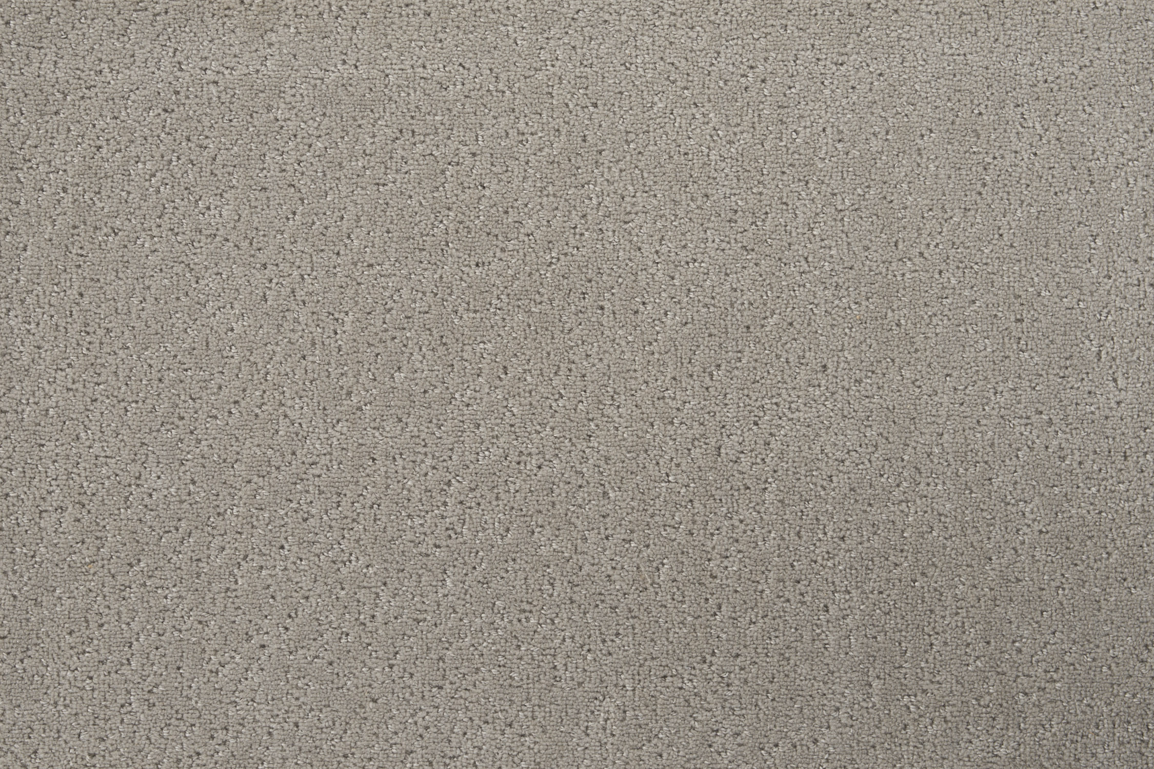 color-rug1