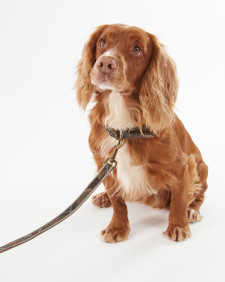 Reflective Tartan Dog Lead Classic Tartan