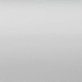 Smooth light-gray wall with subtle horizontal banding; stationary and evenly lit, occupying the frame, in neutral, softly diffused lighting suggesting a studio or blank background.