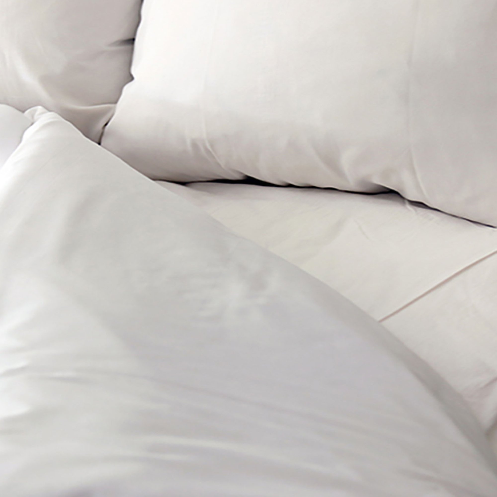 T-180 Elite Collection Flat Bed Sheet, 66 x 104 Inch MK 1123362