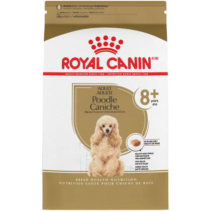 Poodle 8+ Adult Dry Dog Food