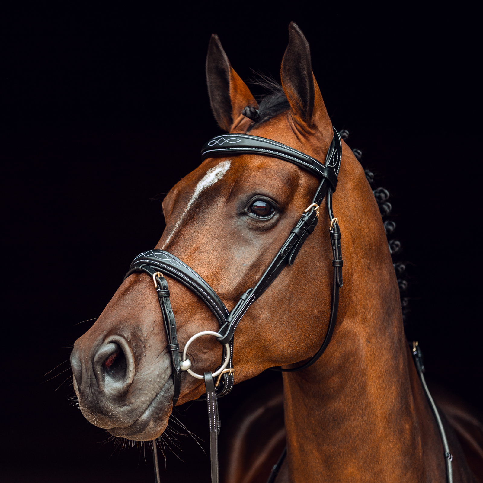 Horze Sion Bridle with Reins