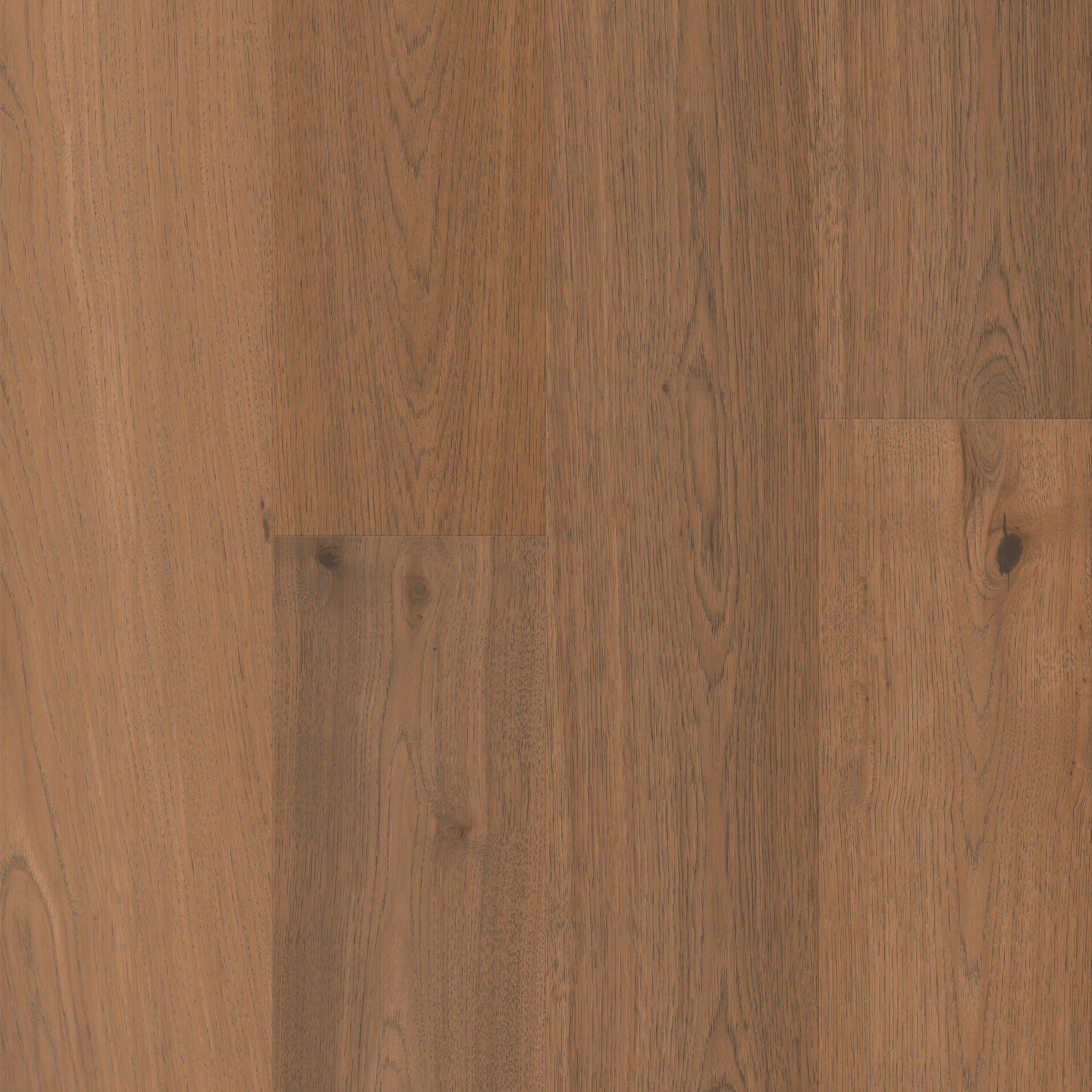 Shaded Hickory Varietals Threshold view 3