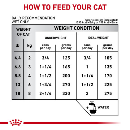 Gastrointestinal Loaf Canned Cat Food