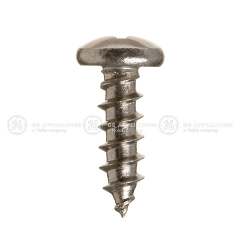 HINGE DOOR SCREW