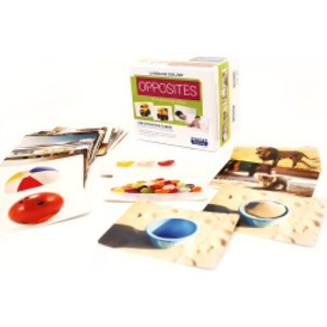 Language Builder&reg; Picture Cards, Opposites