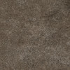 Sensi Brown Fossil 24×48 6mm Field Tile Matte Rectified