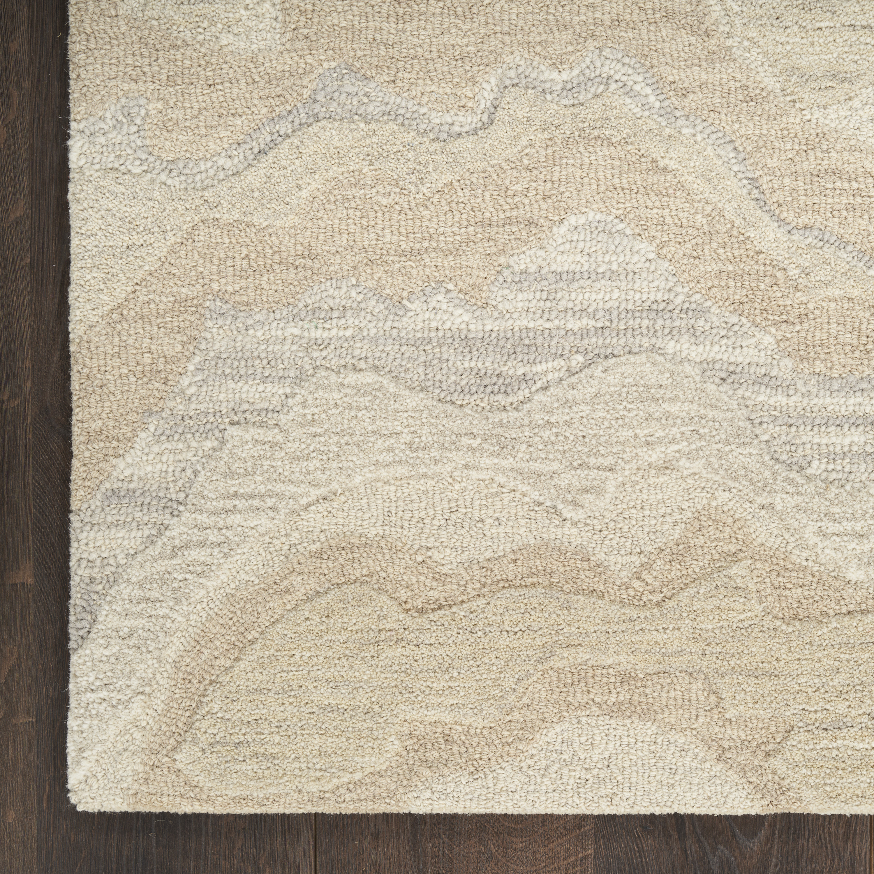 Nourison Graceful 3'9" x 5'9" Beige Modern Indoor Rug