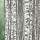 Bjork 1232 Roller Blind