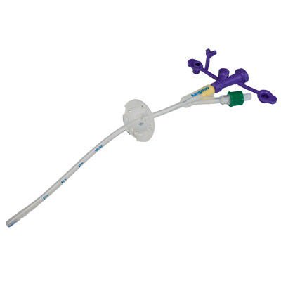 Kangaroo™ Gastrostomy Tube with Y Ports, 22 Fr.