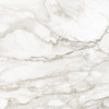Amica Calacatta 32×32 Field Tile Honed Rectified