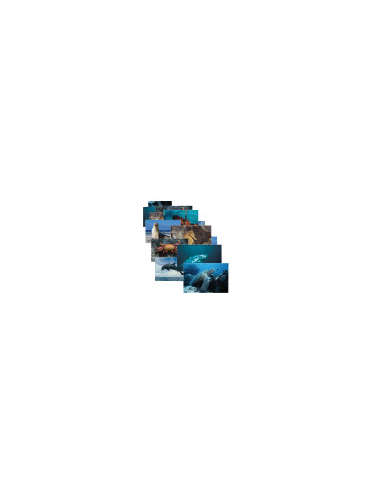 s--Vy-NnVq0--/neyjprgkerpbt3yb60wn.jpg