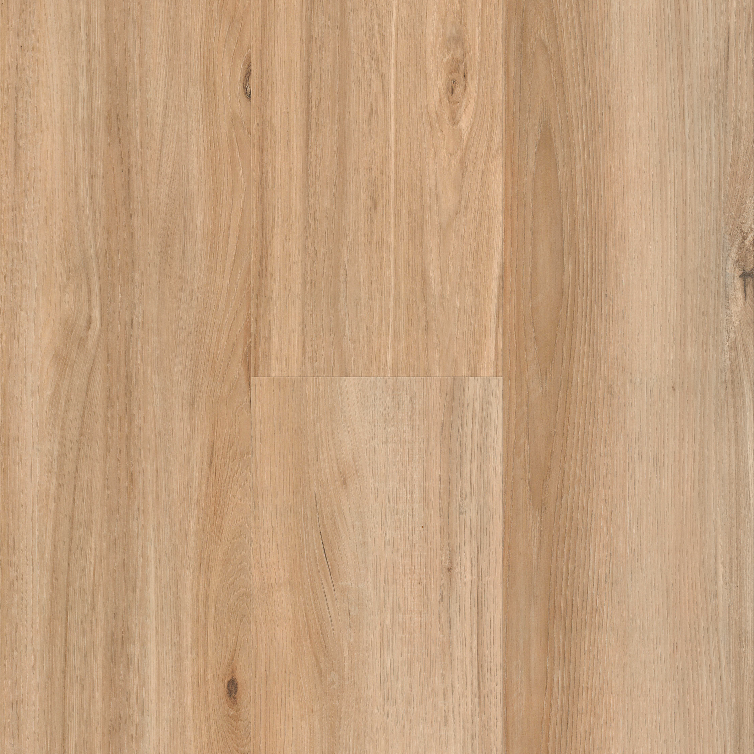 Ivory Inlet Longboards Icons Threshold view 4