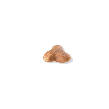 Pug Adult kibble