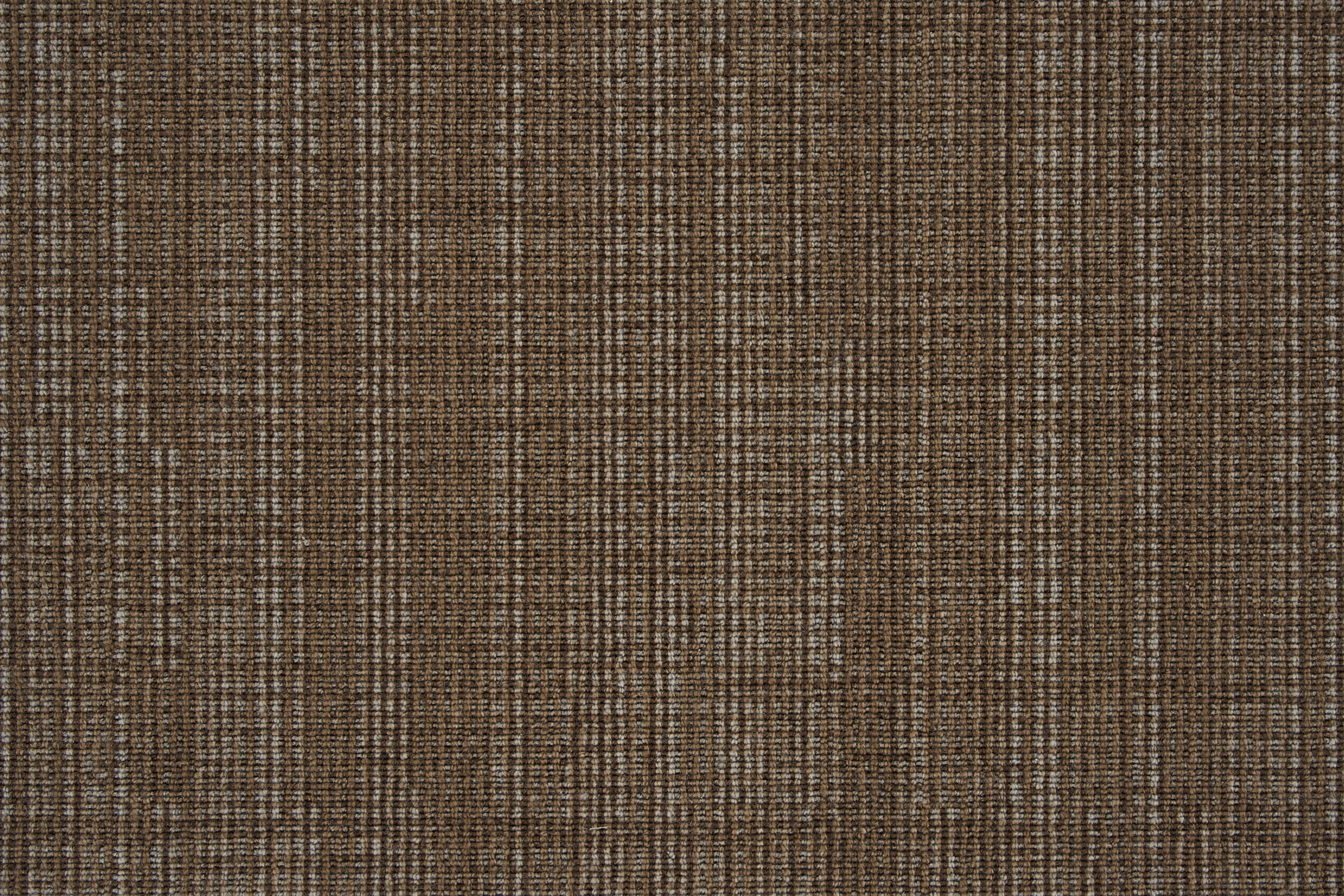 color-rug1