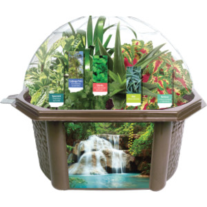 Sensory Biosphere