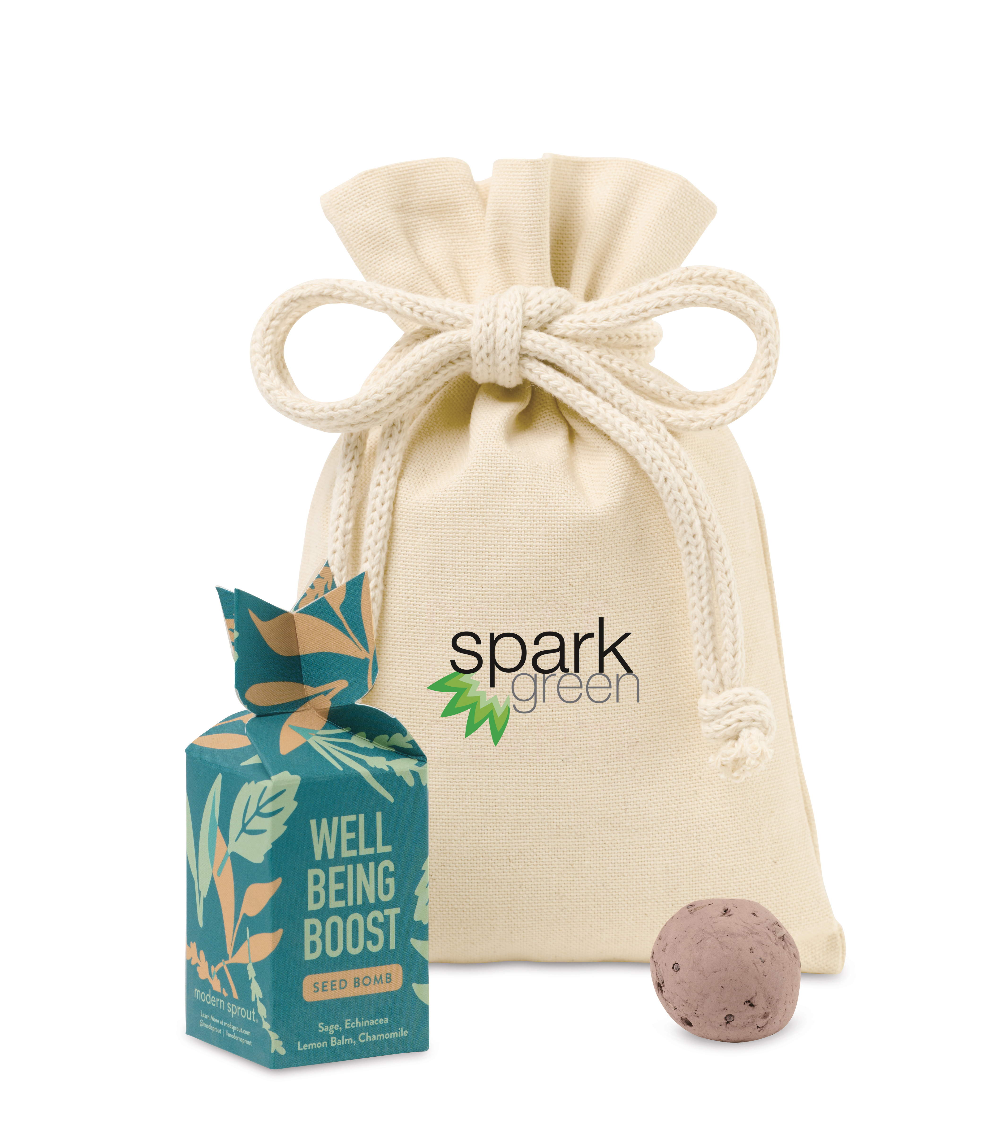 Modern Sprout® Encouragement Seed Bomb-Modern Sprout