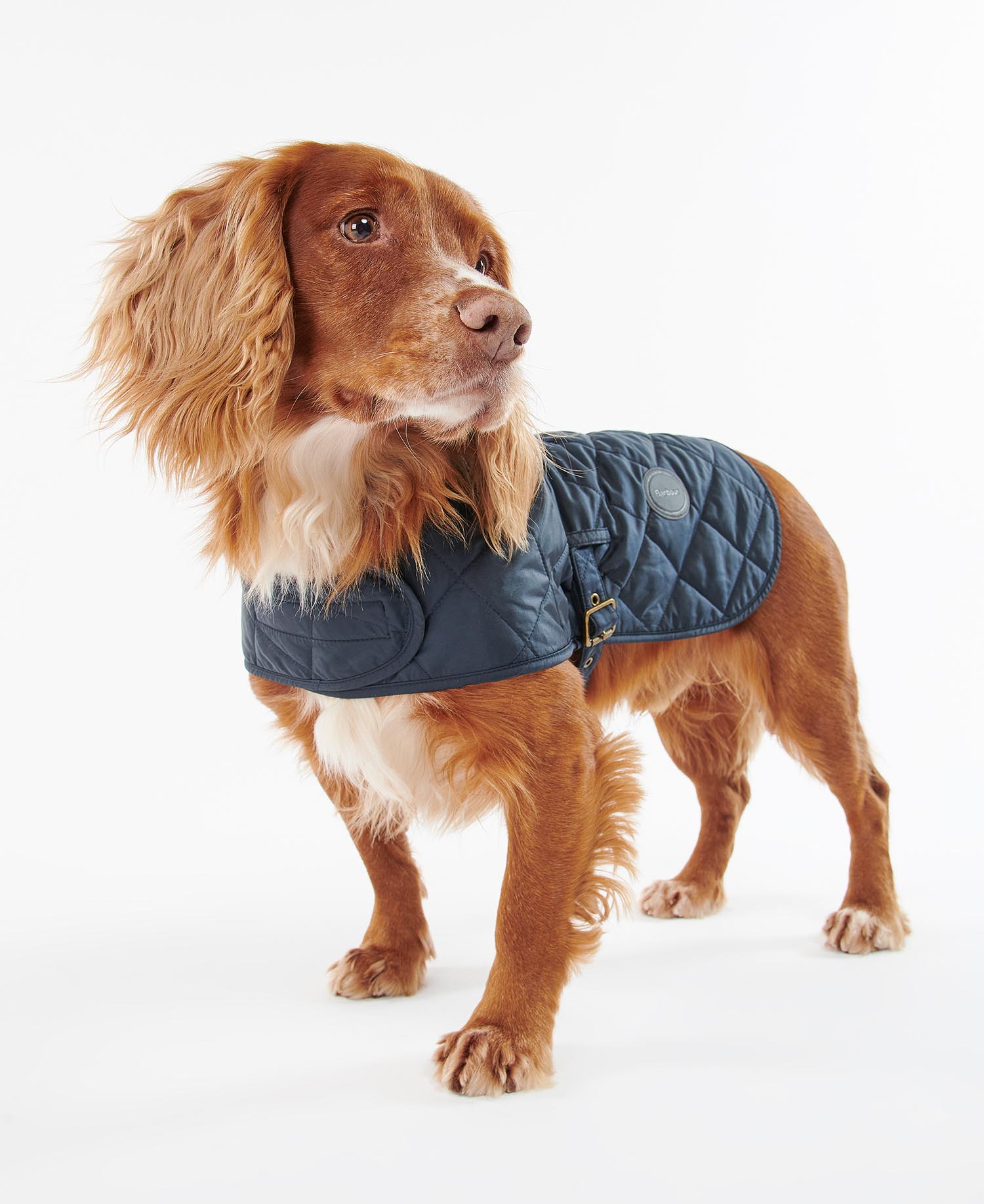 Quilted Dog Coat image number 2