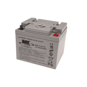 Battery Maintenance Free 12 Volt