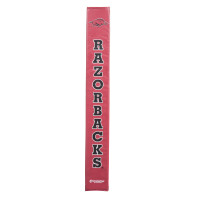 Arkansas Razorbacks thumbnail 2