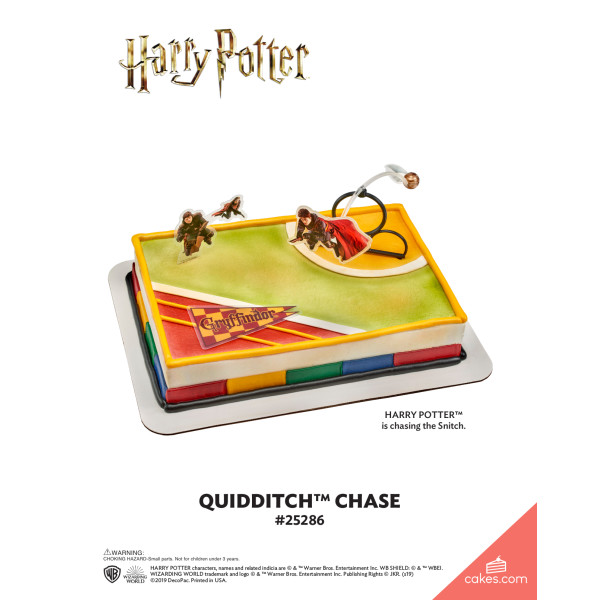 HARRY POTTER™ Quidditch™ Chase The Magic of Cakes® Icing Only Page