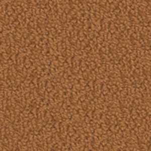 color-rug1