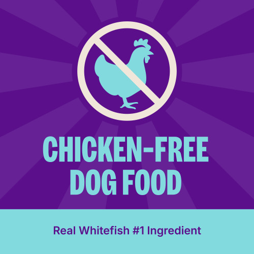 Wellness CORE Digestive Health Whitefish & Brown Rice marketing callout