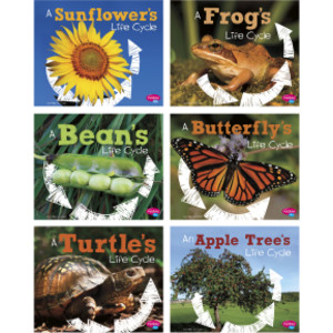 Explore Life Cycles, Set of 6 books