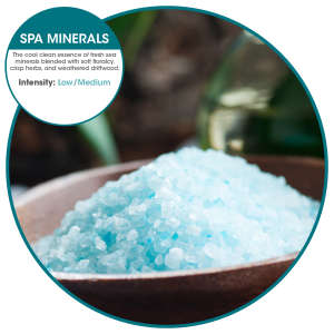 FREOFB04888, Fresh Products, ourfresh 2.0, Air Freshener, Spa Minerals