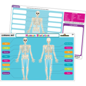 Human Skeleton Learning Mat