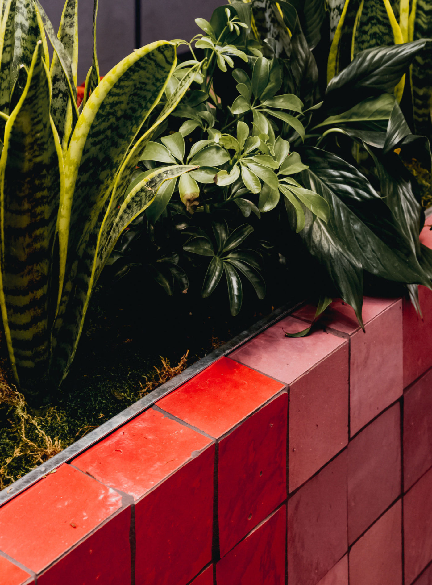 a red tile planter with a lot of plants in it.