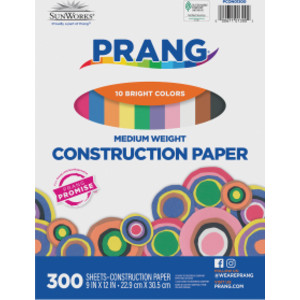 Construction Paper, Medium Weight, 10 Assorted Colors, 9" x 12", 300 Sheets