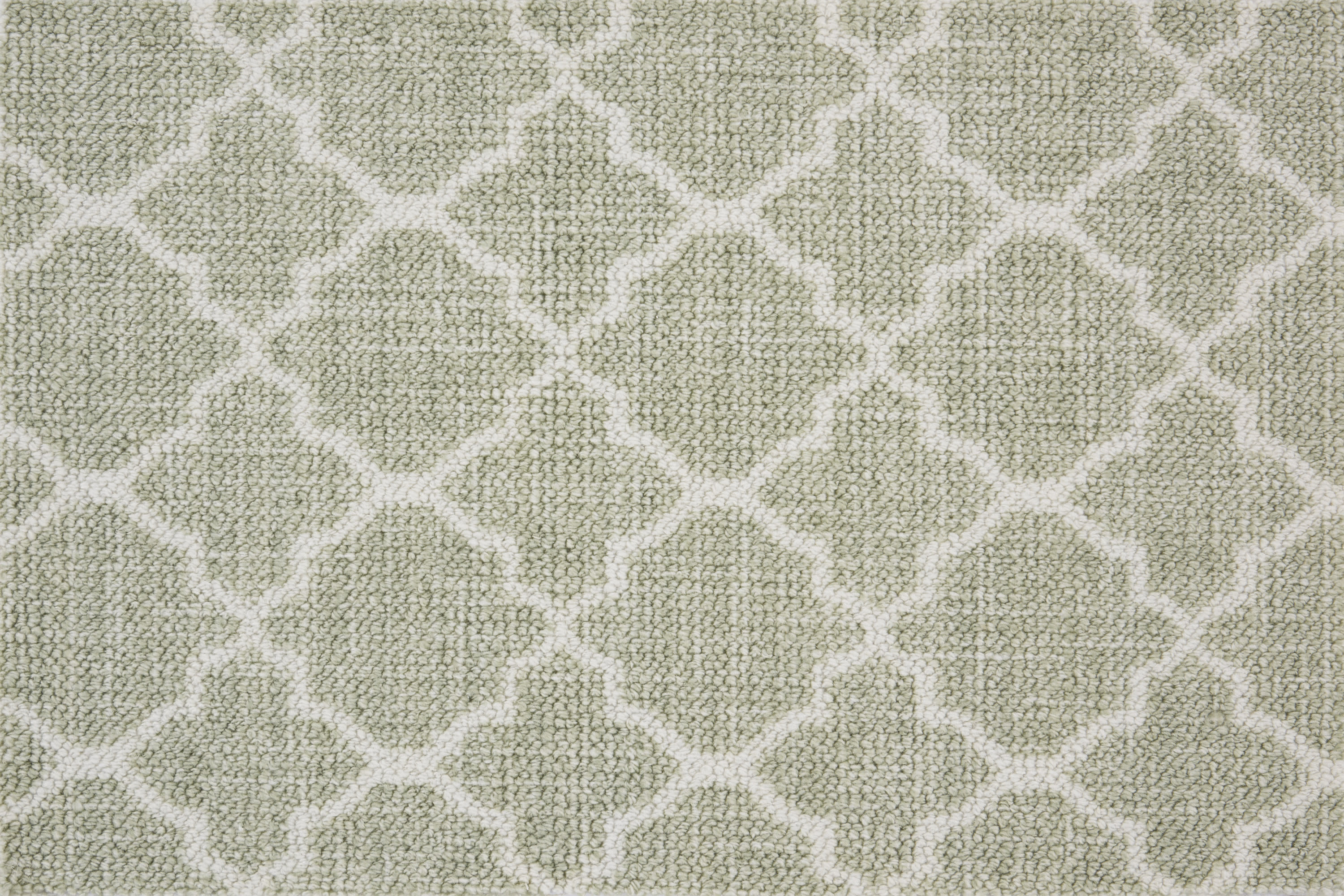 color-rug1