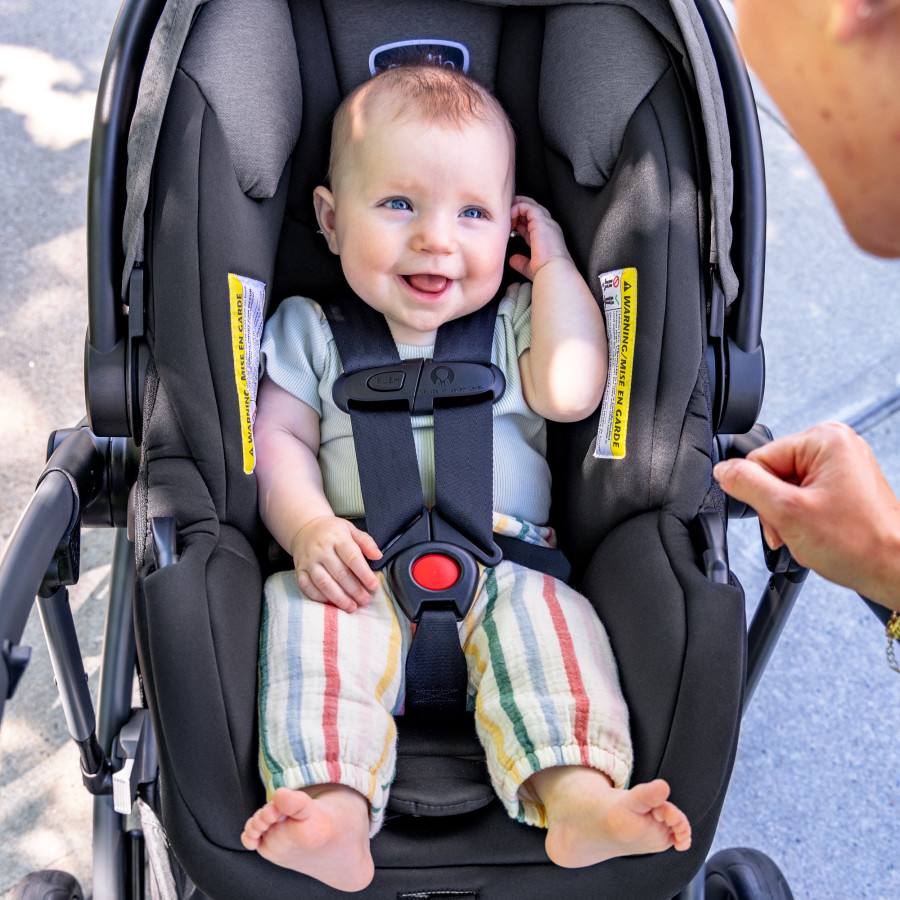 Pivot Suite Modular Travel System with Litemax Infant Car Seat