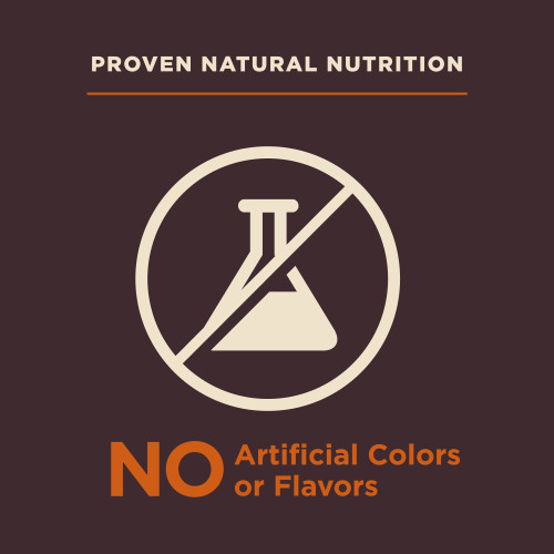 Wellness CORE Digestive Health Large Breed Chicken & Brown Rice marketing callout