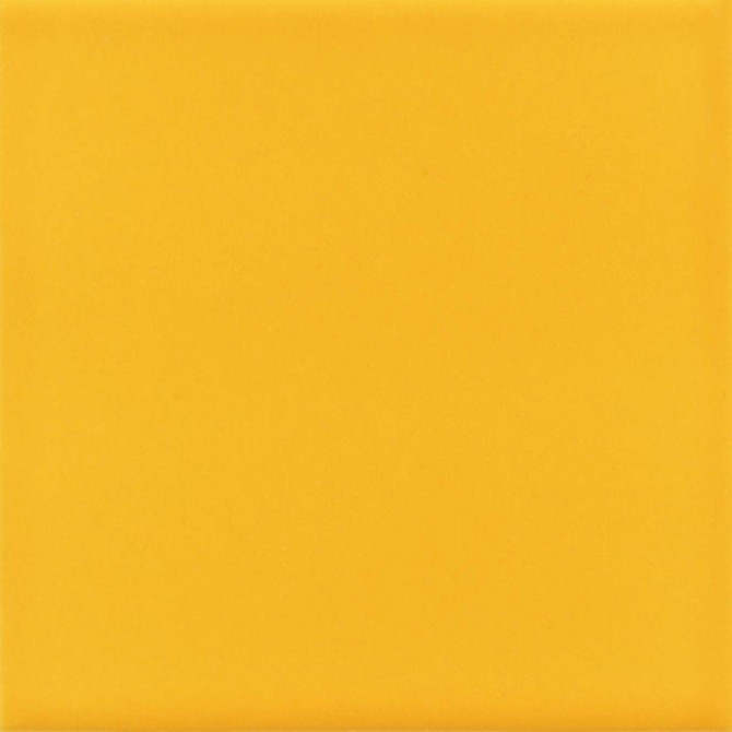 Color Variation Image