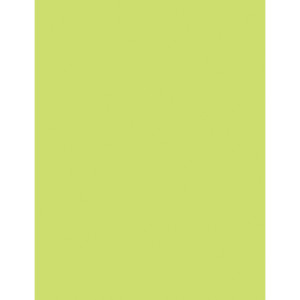 Multi-Purpose Paper, Lime, 8-1/2" x 11", 500 Sheets