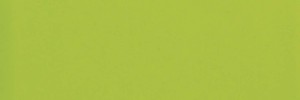 Baseline Spring 4×12 Field Tile Glossy