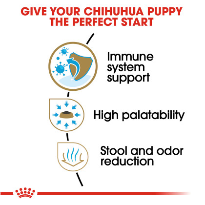 Chihuahua Puppy Dry Dog Food