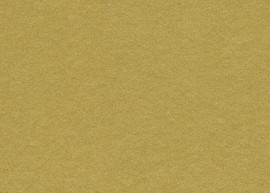 [C89521]Crescent Gold Rush 40x60