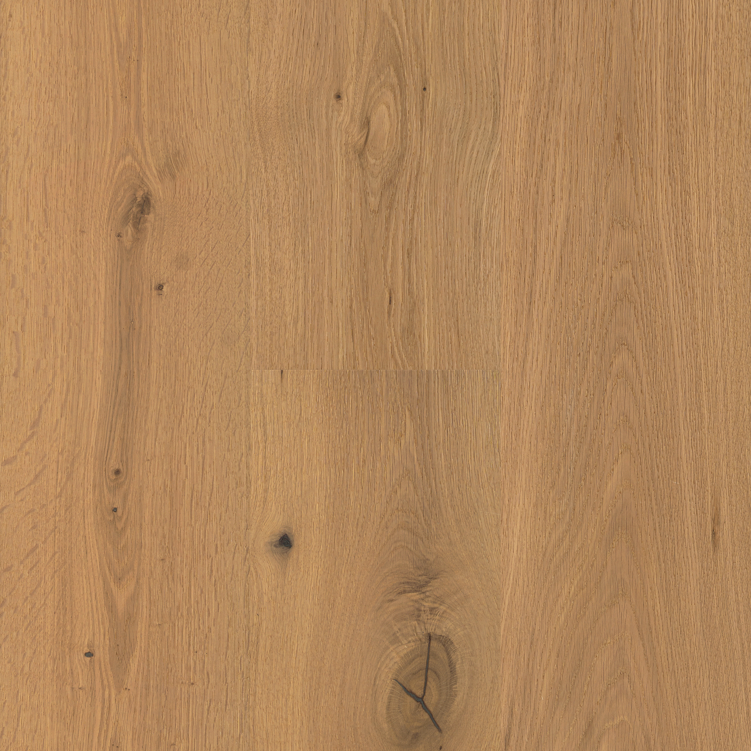 Fawn and Figure First Press Threshold view 4