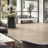 Cascade Beige 12x24