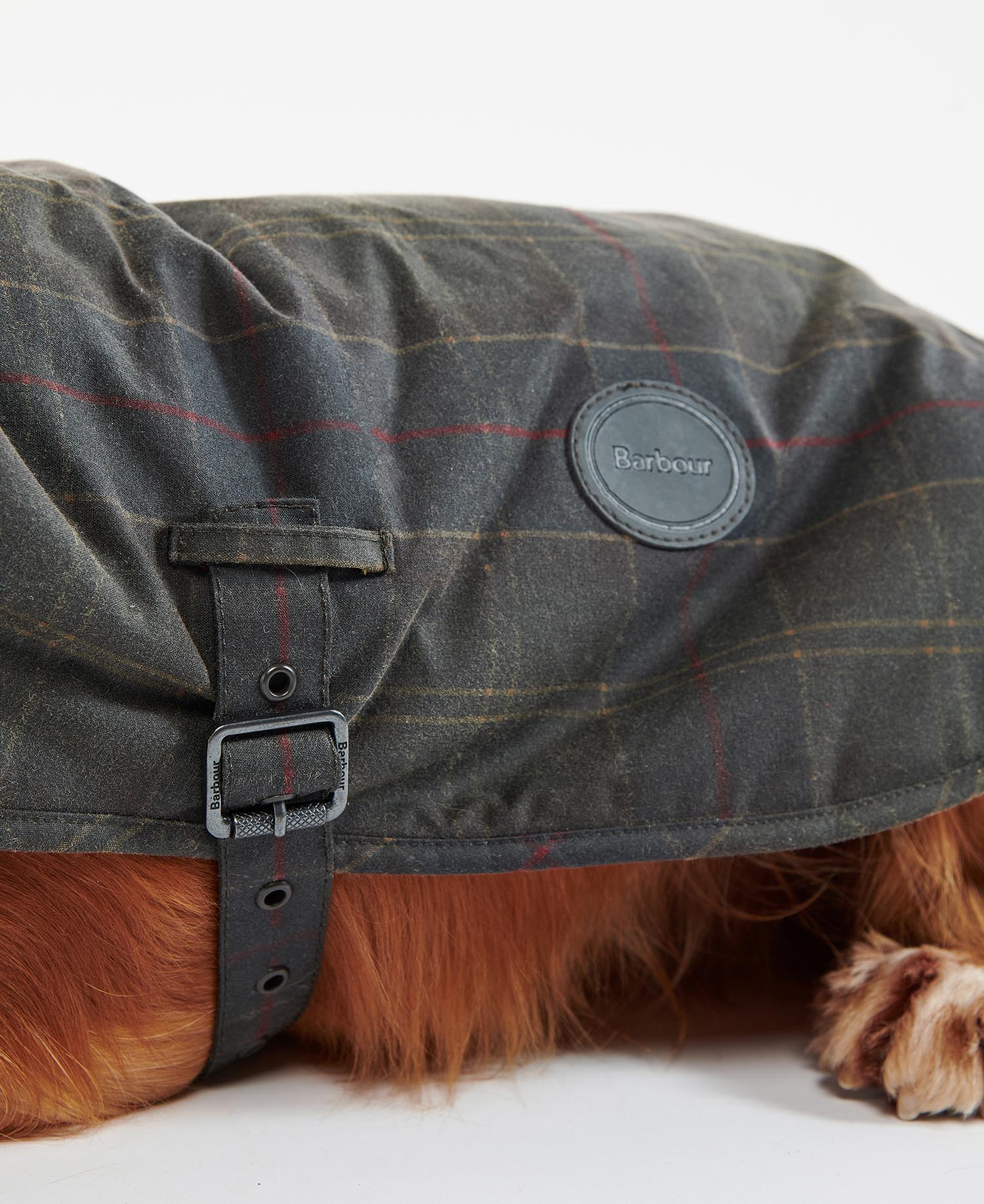 Hundemantel Tartan Wax image number 4