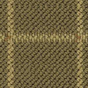 color-rug1