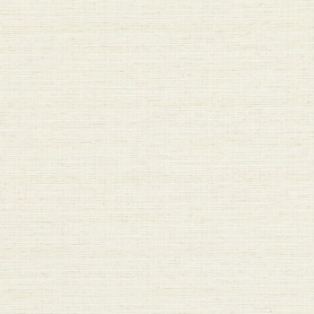 Beige woven-texture wallpaper with subtle horizontal threads covering the entire frame, lying flat and evenly lit, presenting a neutral, softly textured background suitable for interiors.