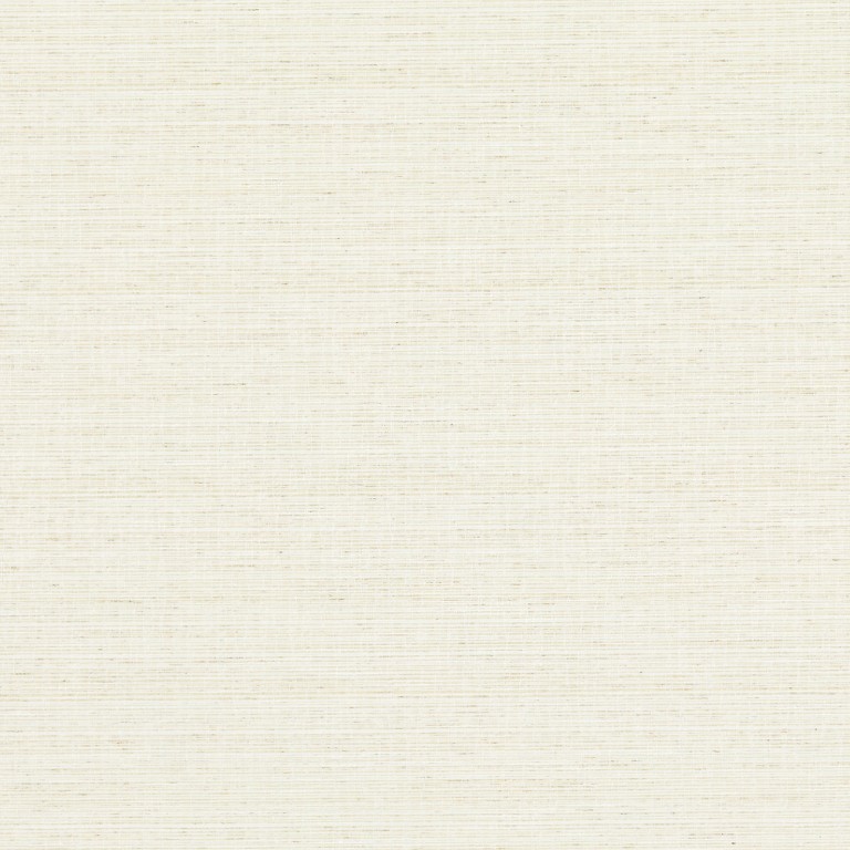 Beige woven-texture wallpaper with subtle horizontal threads covering the entire frame, lying flat and evenly lit, presenting a neutral, softly textured background suitable for interiors.