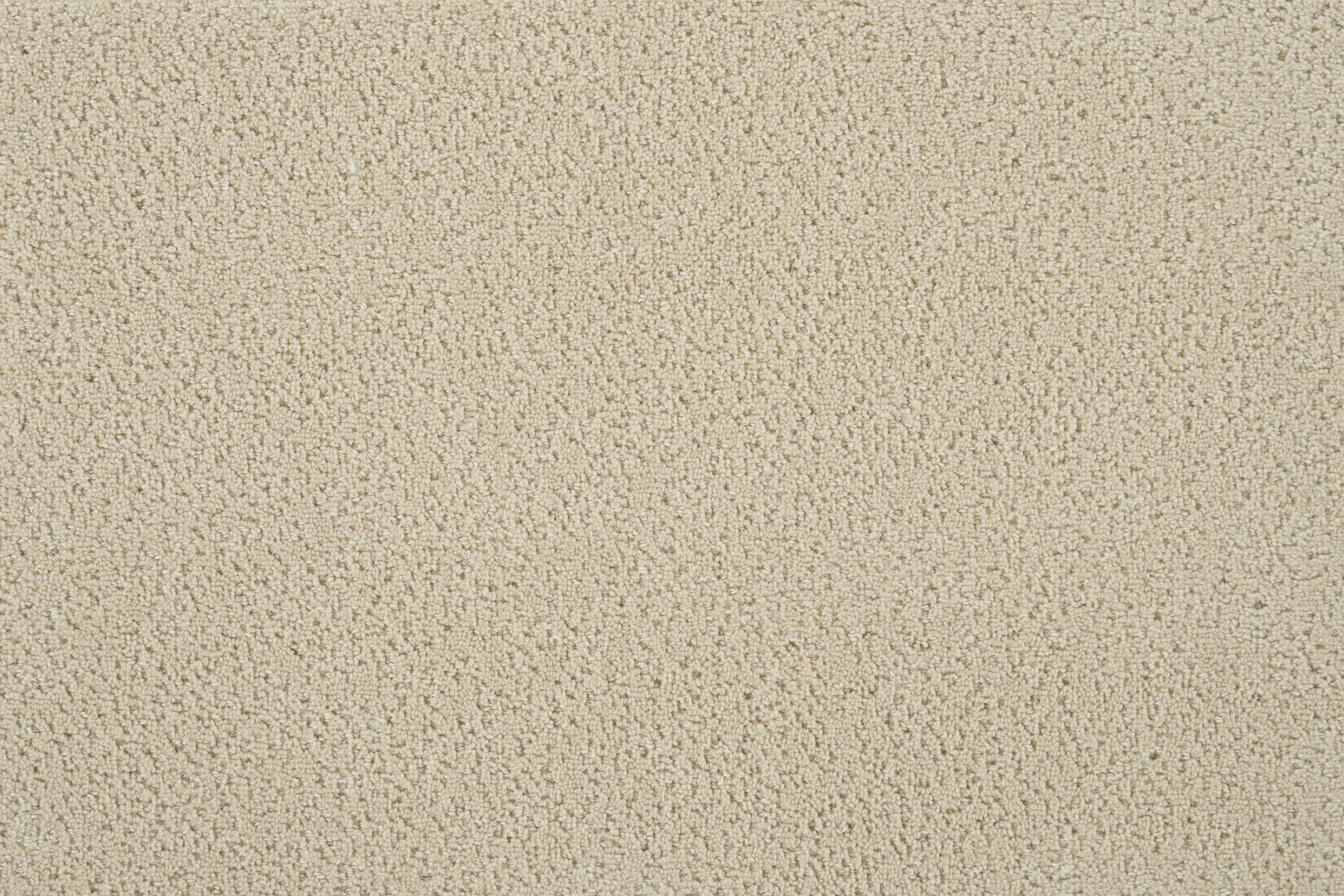color-rug1